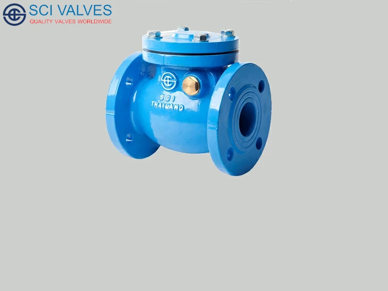 Check Valve